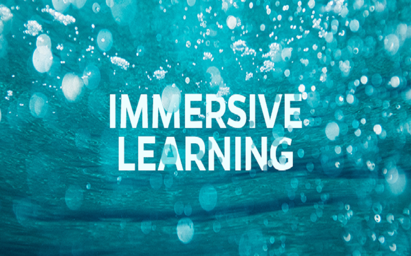 How Is Immersive Learning Changing Our Future